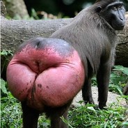 Kiss mah butt