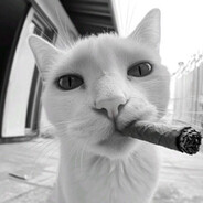 VedokeeeZ