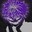 Group Avatar