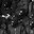Group Avatar