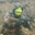 Group Avatar