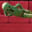 theguyoncouch