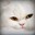 Group Avatar