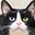 Group Avatar