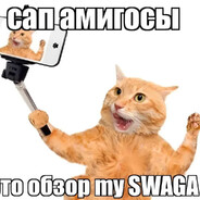 Создатель сваги