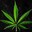 Group Avatar