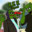 Group Avatar